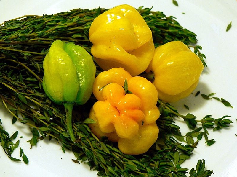 40 PIMIENTO SCOTCH BONNET AMARILLO Semillas de vegetales de Capsicum Chinense de Jamaica muy picante