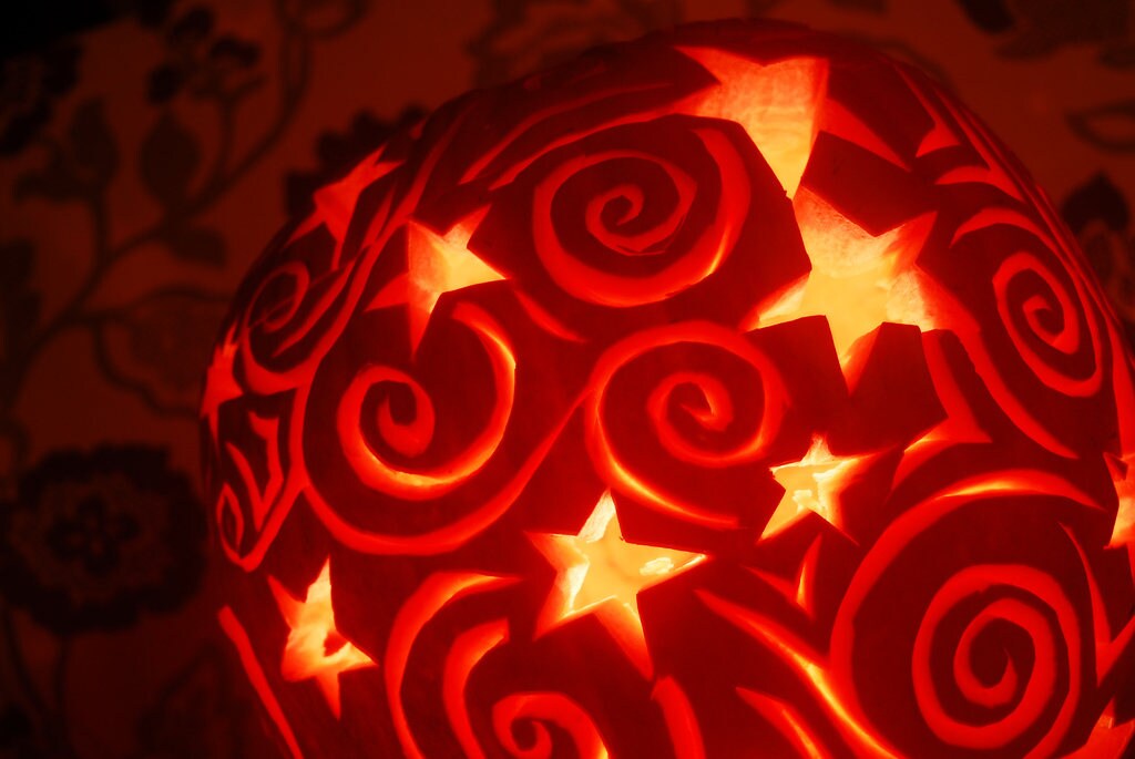 50 semillas de calabaza de campo de Connecticut BigTom Orange Yankee Cucurbita Pepo