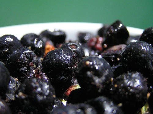 40 SALAL BERRY Gaultheria Shallon Rosa Flores Blancas Fruto Azul Arbusto Semillas