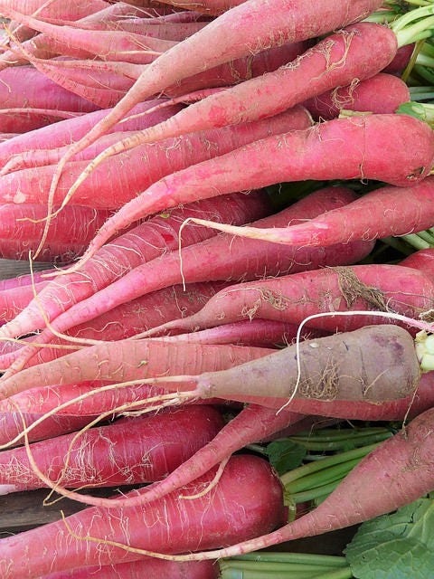 100 PINK SUMMERSICLE RADISH Raphanus Sativus Root Vegetable Seeds