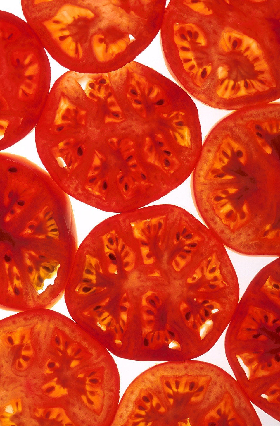 200 semillas de tomate rojo RUTGERS Lycopersicon Globe Determinate de 8 oz de fruta vegetal