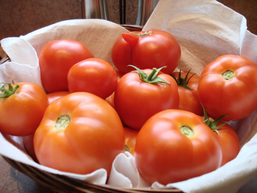 200 semillas de tomate rojo RUTGERS Lycopersicon Globe Determinate de 8 oz de fruta vegetal