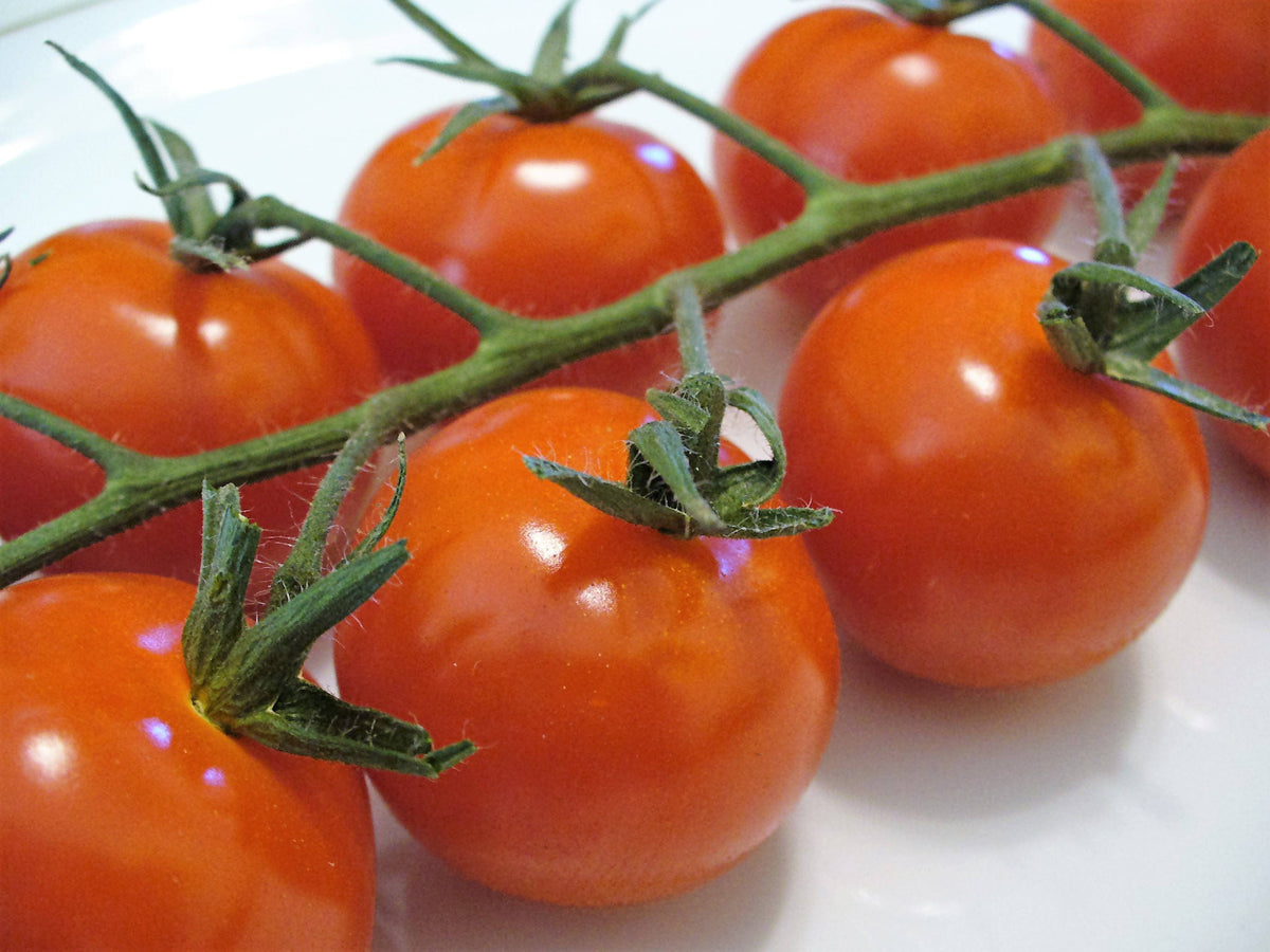 100 Red SWEETIE CHERRY TOMATO Super Sweet 1" Lycopersicon Fruit Vegetable Seeds