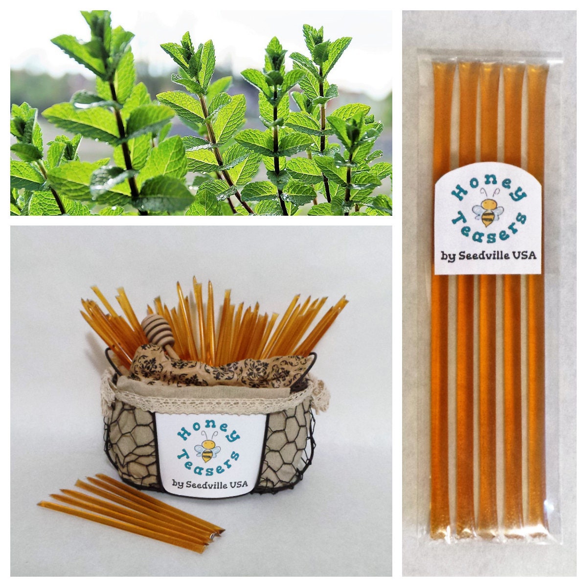 Paquete de 5 palitos de miel y menta, palitos de miel natural, pajitas Honeystix