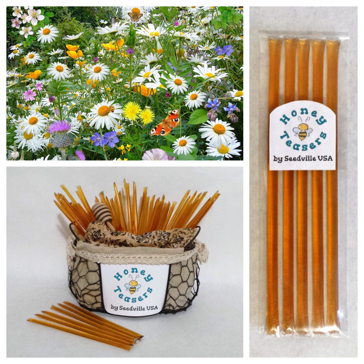Paquete de 5 palitos de miel WILDFLOWER Blossom HONEY TEASERS, palitos de miel natural, pajitas Honeystix
