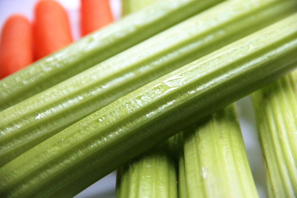 1000 TENDERCRISP CELERY Stalks & Leaves Apium Graveolens Vegetable Seeds
