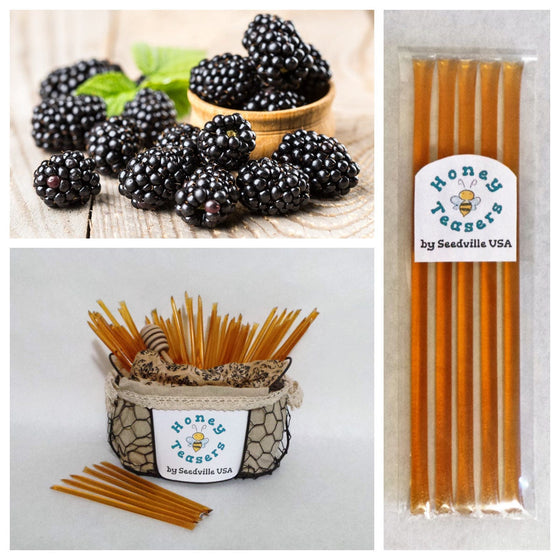 Paquete de 5 palitos de miel de flor de mora, palitos de miel natural, pajitas Honeystix