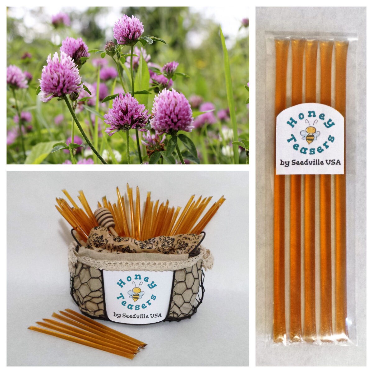 Paquete de 5 palitos de miel con sabor a flor de trébol, palitos de miel natural, pajitas Honeystix