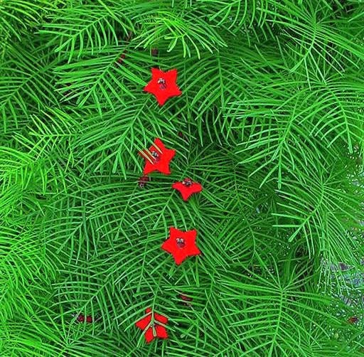 50 CYPRESS VINE MIX Ipomoea Quamoclit Convolvulus Hummingbird Star Morning Glory Cardinal Creeper Flower Seeds - Mixed Colors Red Pink White