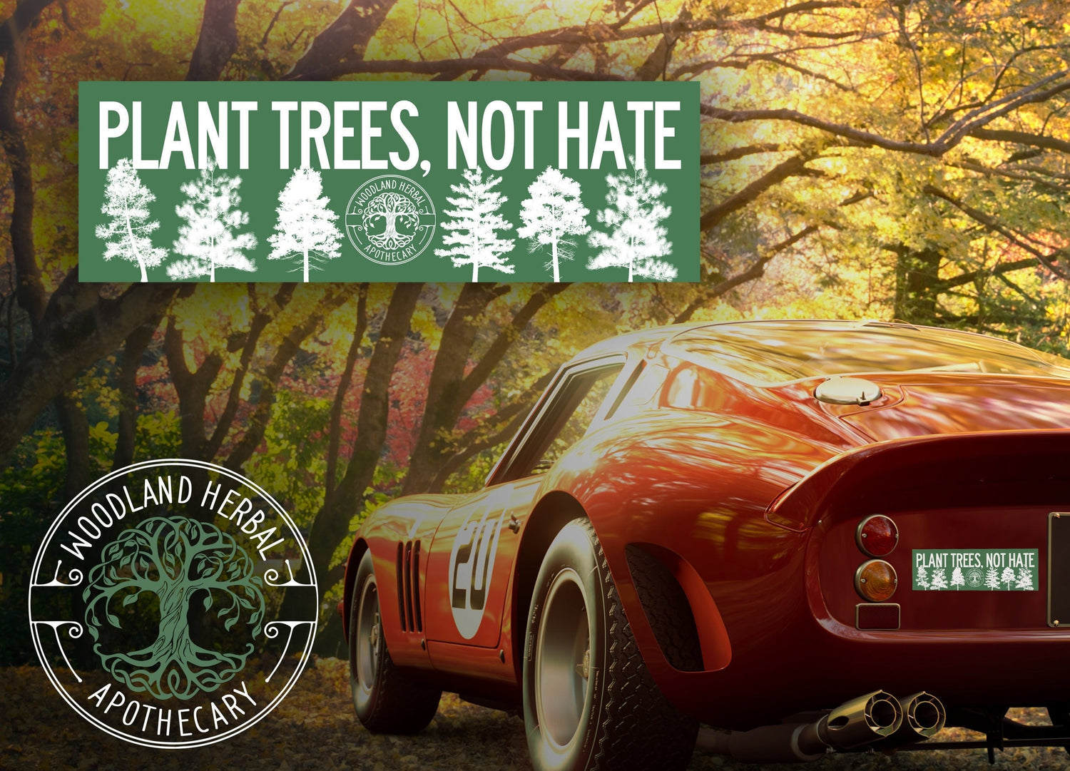 Bumper Sticker - Choose from Plant Trees Not Hate or Make America Green Again
