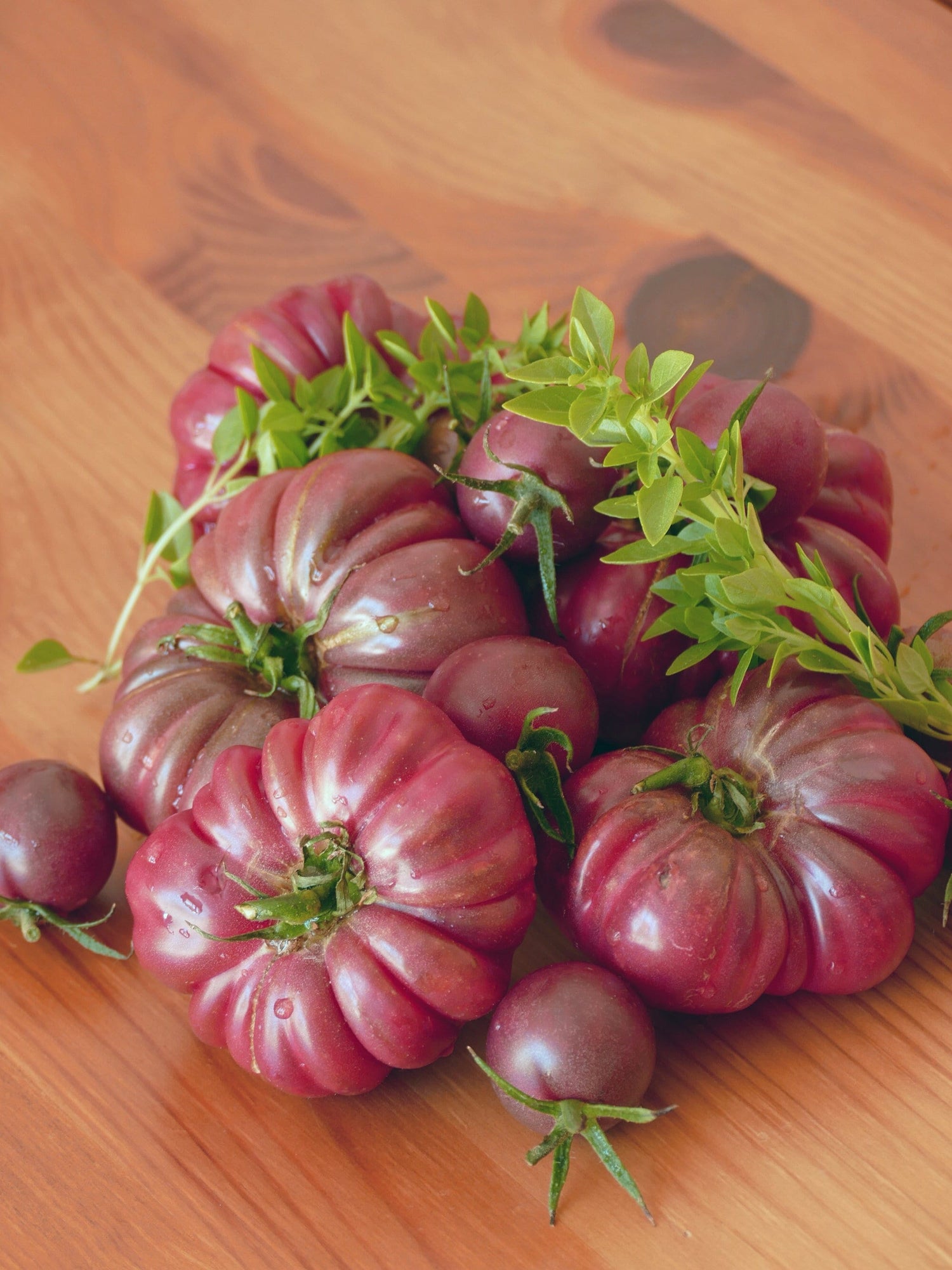 40 TOMATES CALABAZA MORADOS Solanum Lycopersicum Semillas de hortalizas de fruta tipo bistec de herencia indeterminada