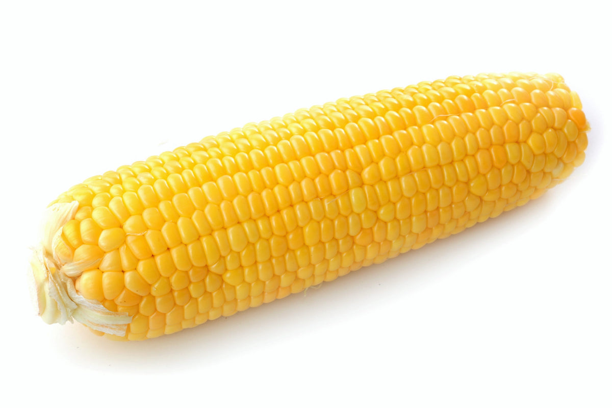 50 KANDY KORN CORN Maíz amarillo dulce Cáscara roja HSE Semillas de hortalizas Zea Mays