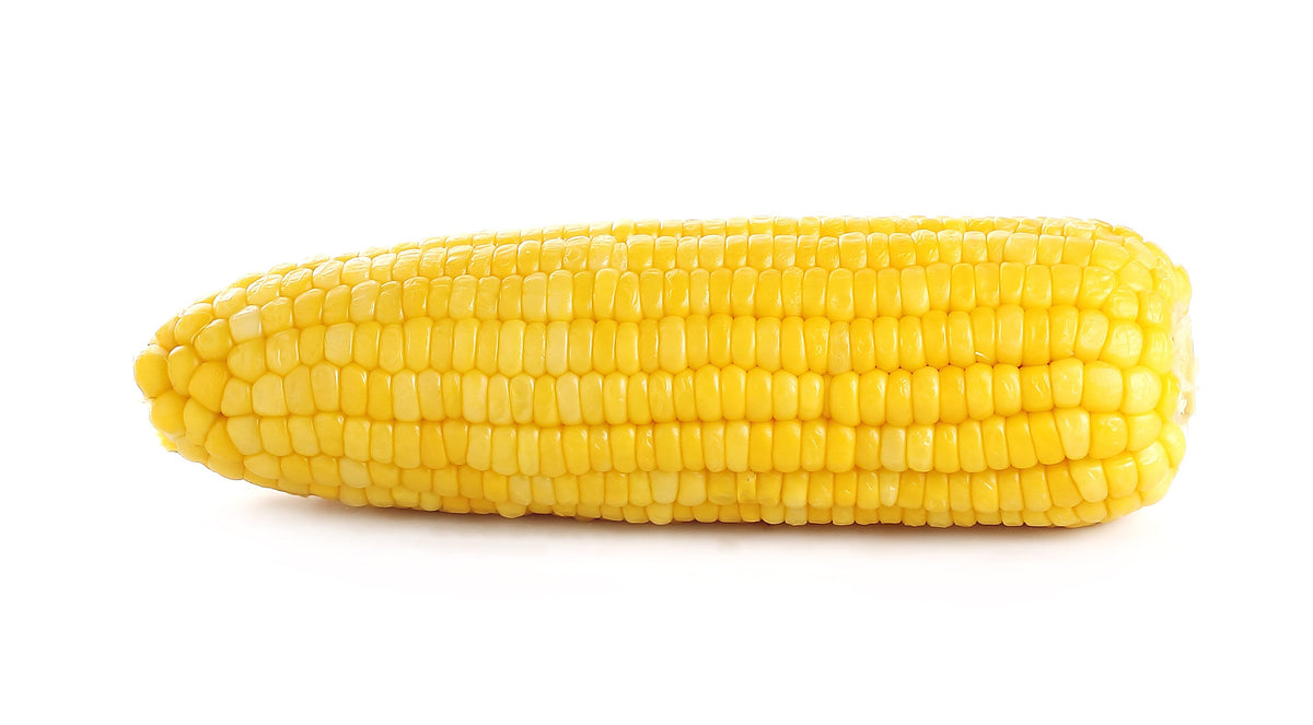 50 KANDY KORN CORN Maíz amarillo dulce Cáscara roja HSE Semillas de hortalizas Zea Mays