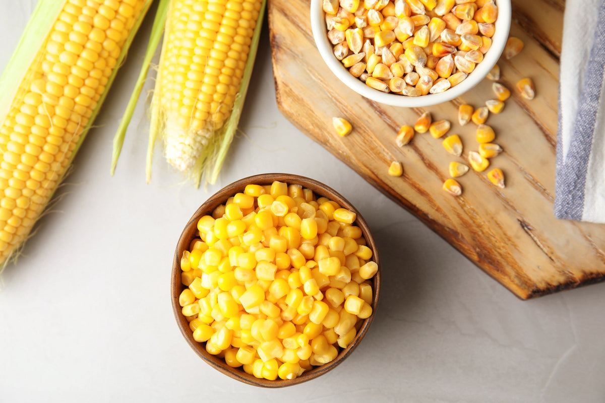 50 KANDY KORN CORN Maíz amarillo dulce Cáscara roja HSE Semillas de hortalizas Zea Mays