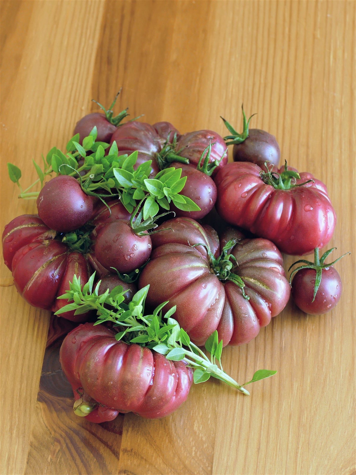 40 TOMATES CALABAZA MORADOS Solanum Lycopersicum Semillas de hortalizas de fruta tipo bistec de herencia indeterminada