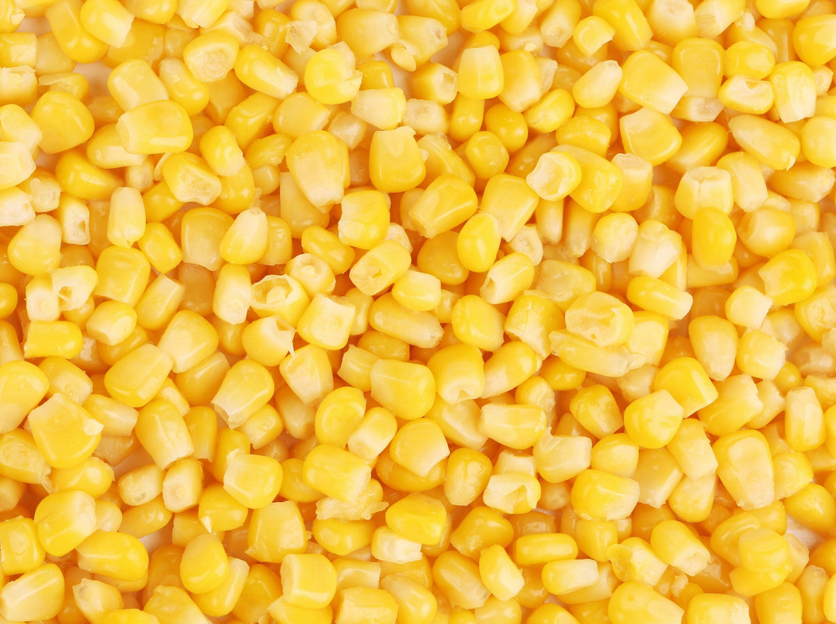 50 KANDY KORN CORN Maíz amarillo dulce Cáscara roja HSE Semillas de hortalizas Zea Mays