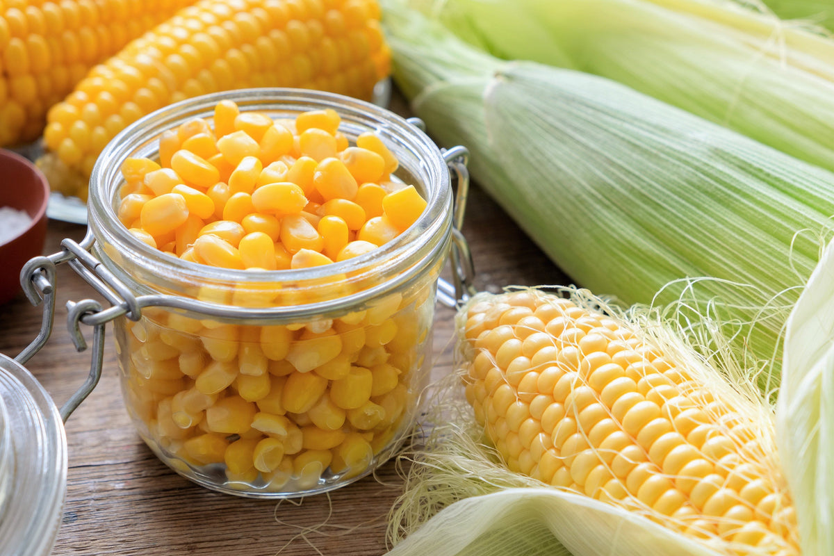 50 semillas de maíz Honey Select, amarillo dulce SE Sh2 Zea Mays