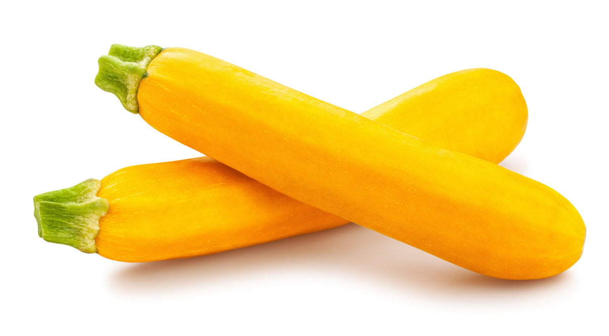50 Calabacines Dorados Calabaza Heirloom de Verano Cucurbita Pepo Semillas de Hortalizas Amarillas