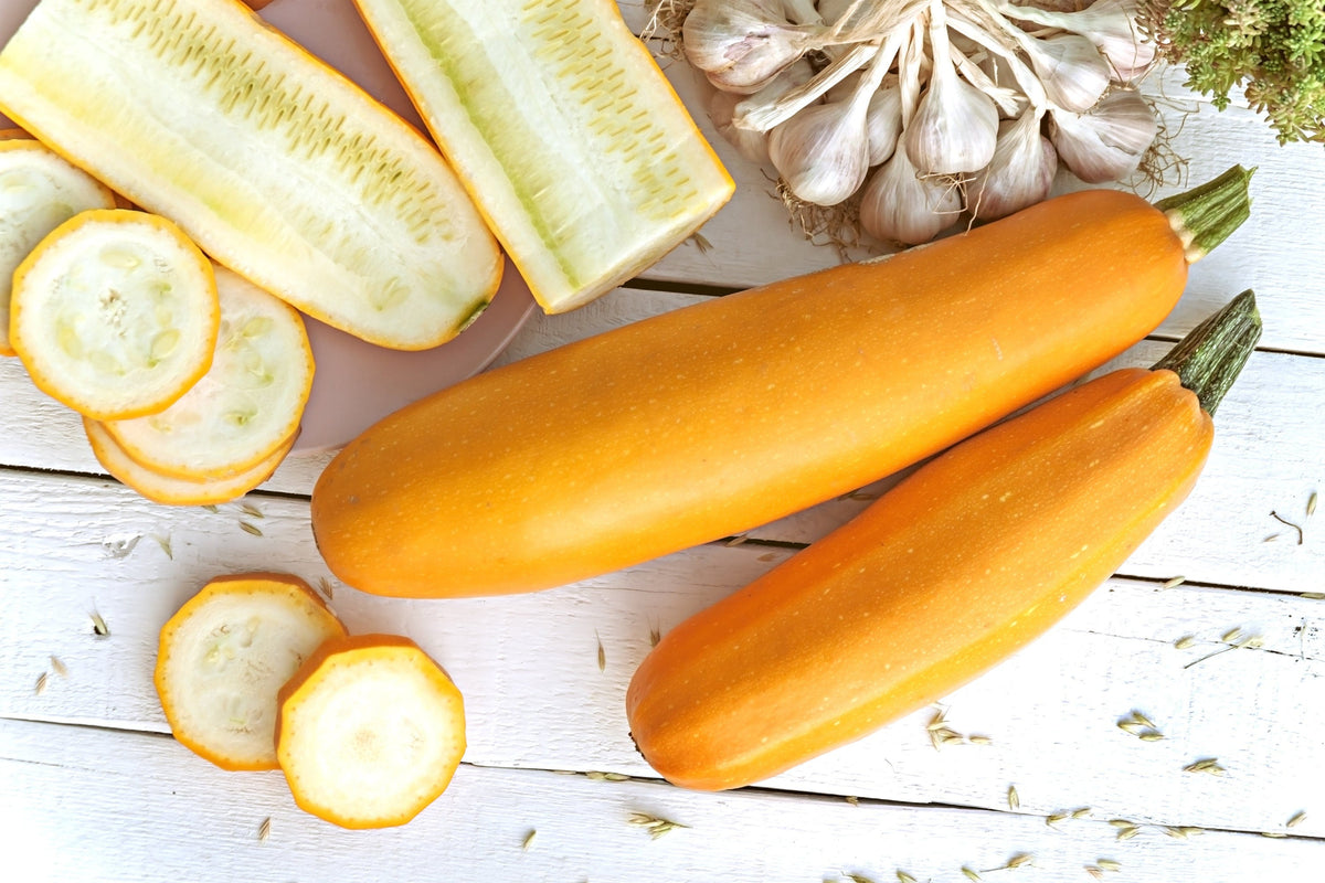 50 Calabacines Dorados Calabaza Heirloom de Verano Cucurbita Pepo Semillas de Hortalizas Amarillas