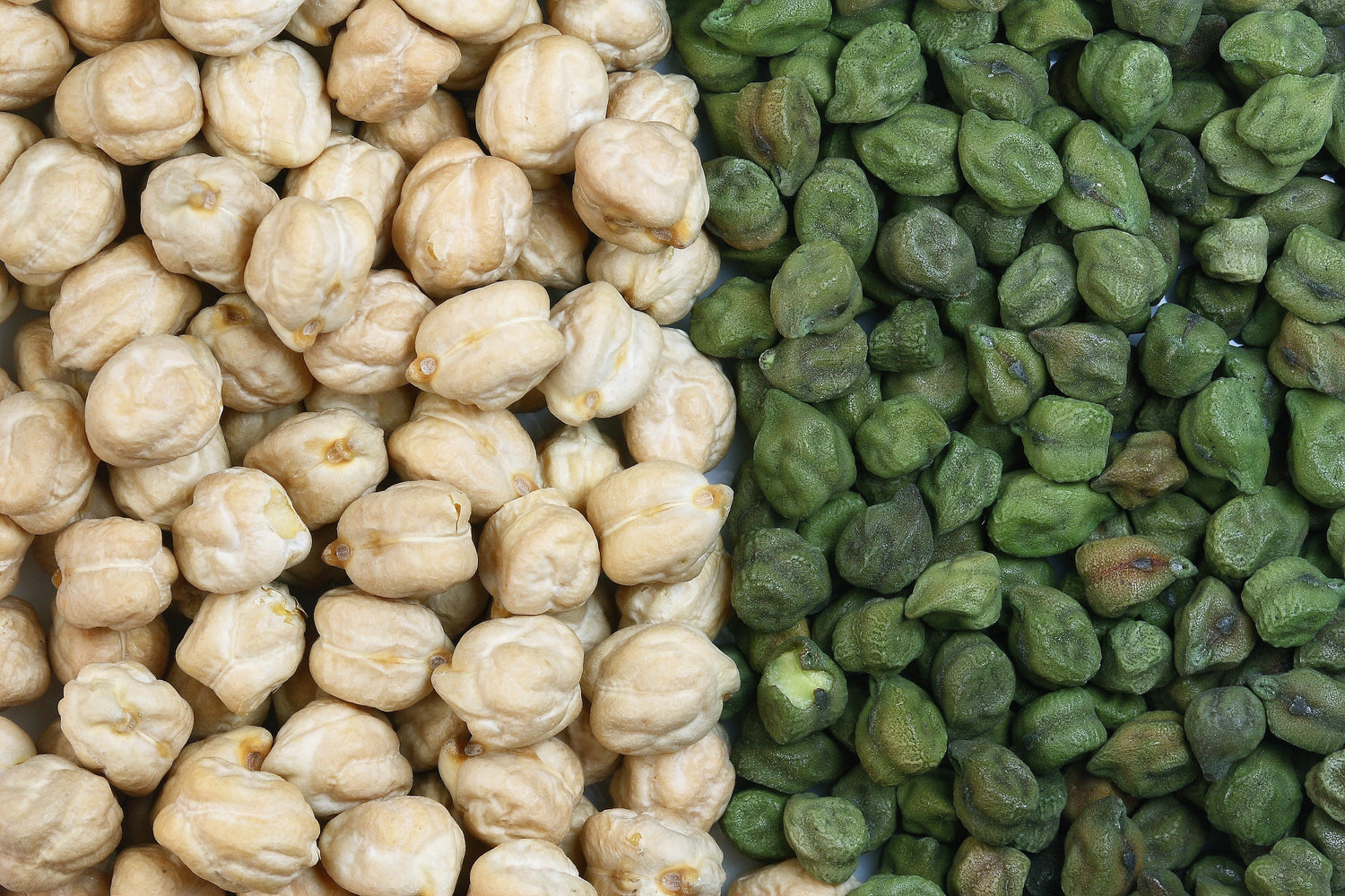 25 GREEN CHICK PEA Garbanzo también conocido como Garbanzo Bean Green Chana Cicer Arietinum Legumbres Semillas vegetales