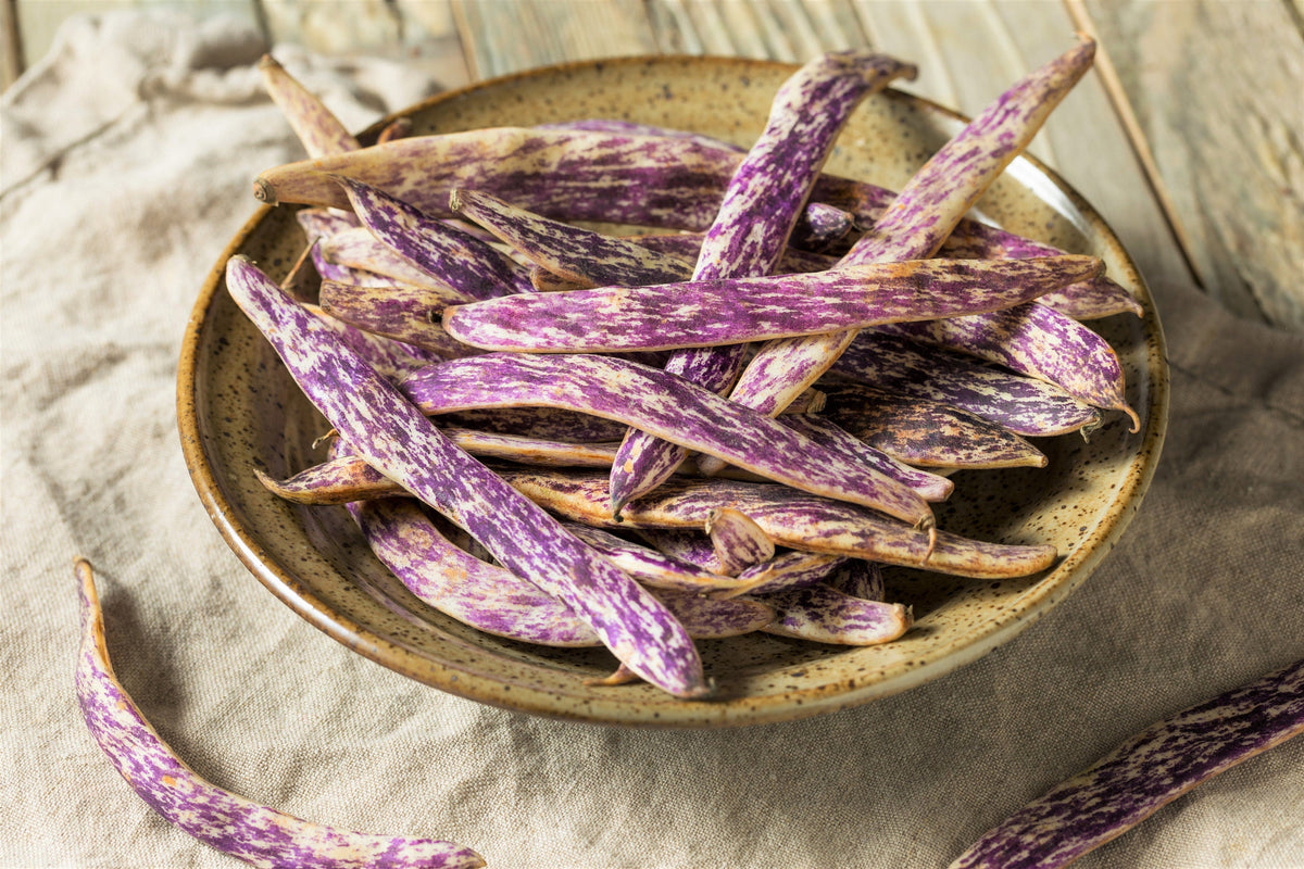 50 Semillas de Lengua de Dragón (Phaseolus Vulgaris), Frijoles de Cera, Amarillos y Morados