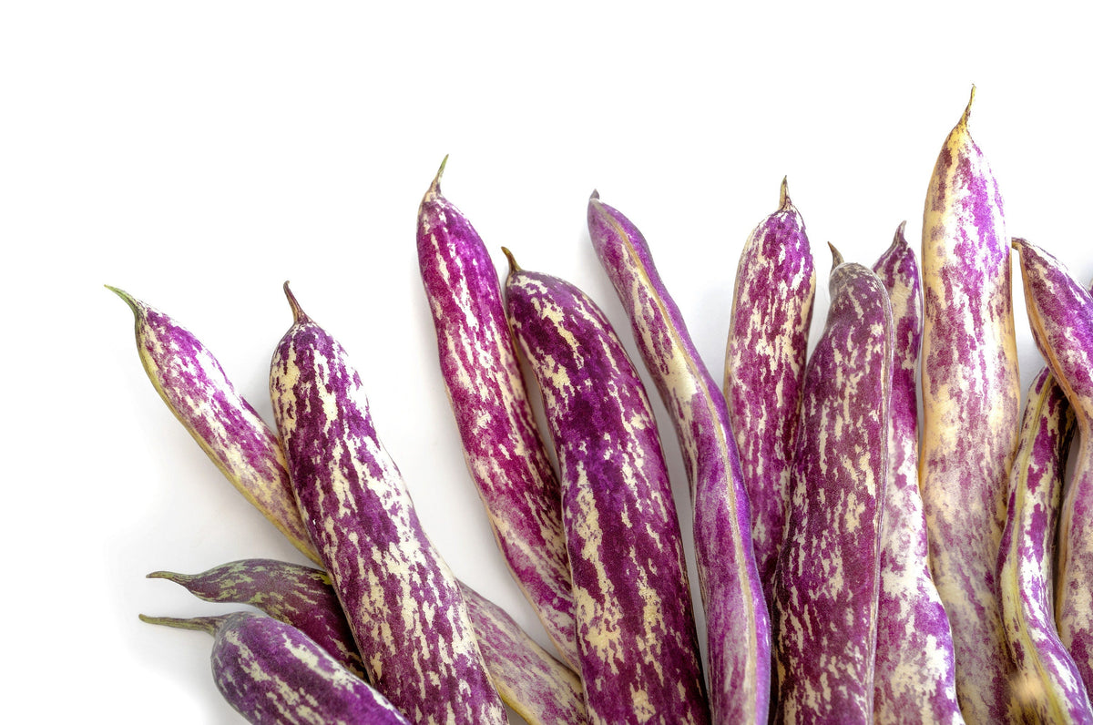 50 Semillas de Lengua de Dragón (Phaseolus Vulgaris), Frijoles de Cera, Amarillos y Morados