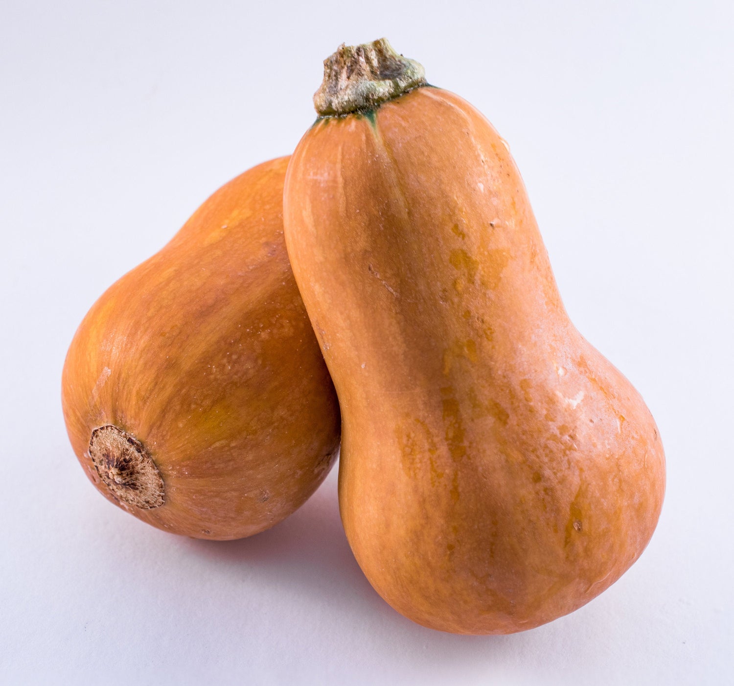 25 Calabazas de miel orgánicas, también conocidas como calabazas butternut, Cucurbita moschata dulce, ranúnculo bebé, piel bronceada, pulpa anaranjada, semillas