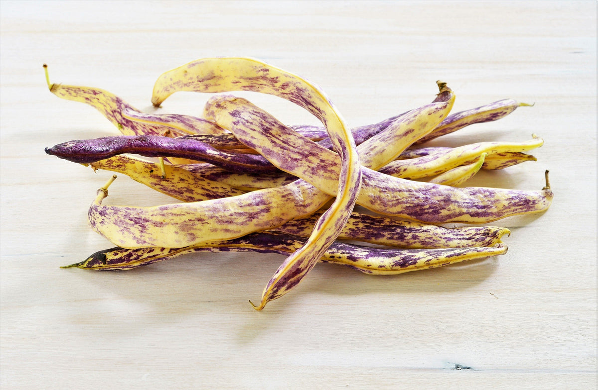 50 Semillas de Lengua de Dragón (Phaseolus Vulgaris), Frijoles de Cera, Amarillos y Morados