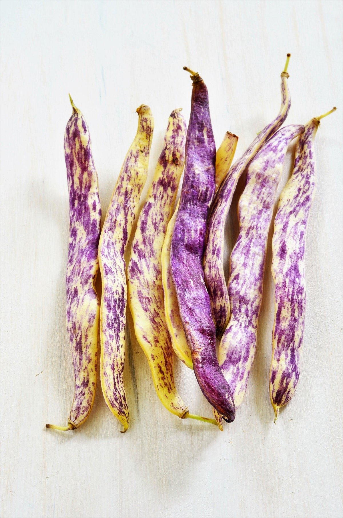 50 Semillas de Lengua de Dragón (Phaseolus Vulgaris), Frijoles de Cera, Amarillos y Morados