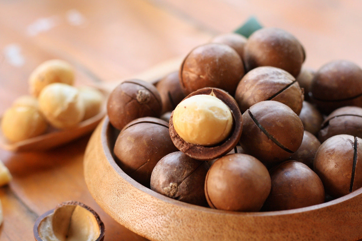 5 NUEZ DE MACADAMIA Árbol Macadamia Integrifolia Cáscara Marrón Fruto Beige Flor Blanca y Rosa Semillas