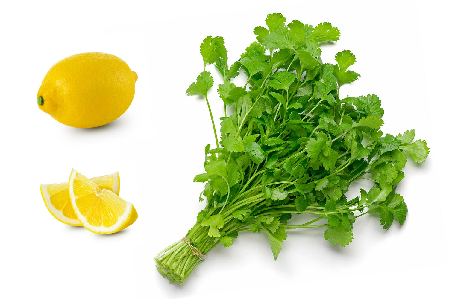 25 semillas de cilantro orgánico enano, cilantro, especias, Coriandrum sativum, hierba aromática