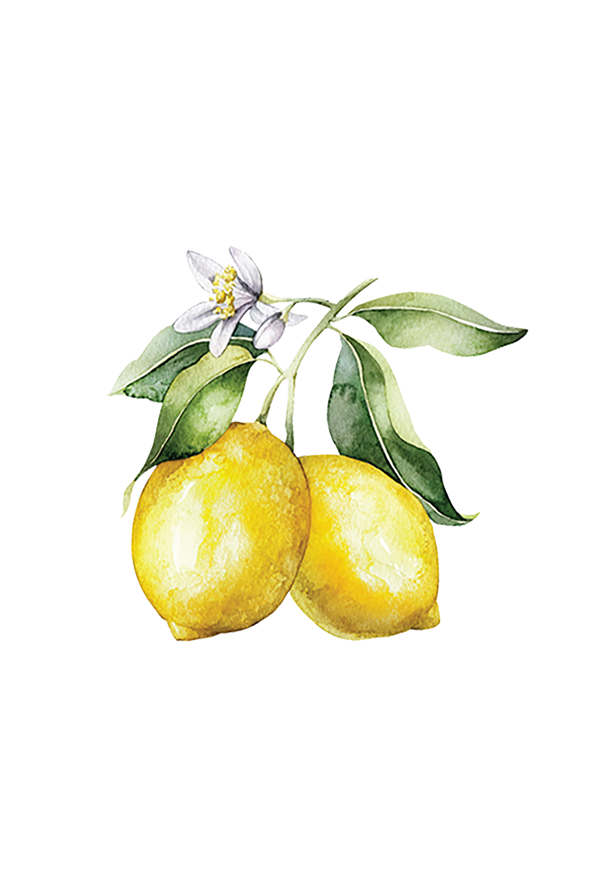 Aceite esencial de limón