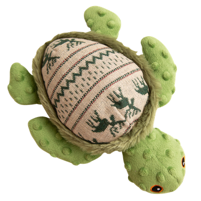 Holly la tortuga