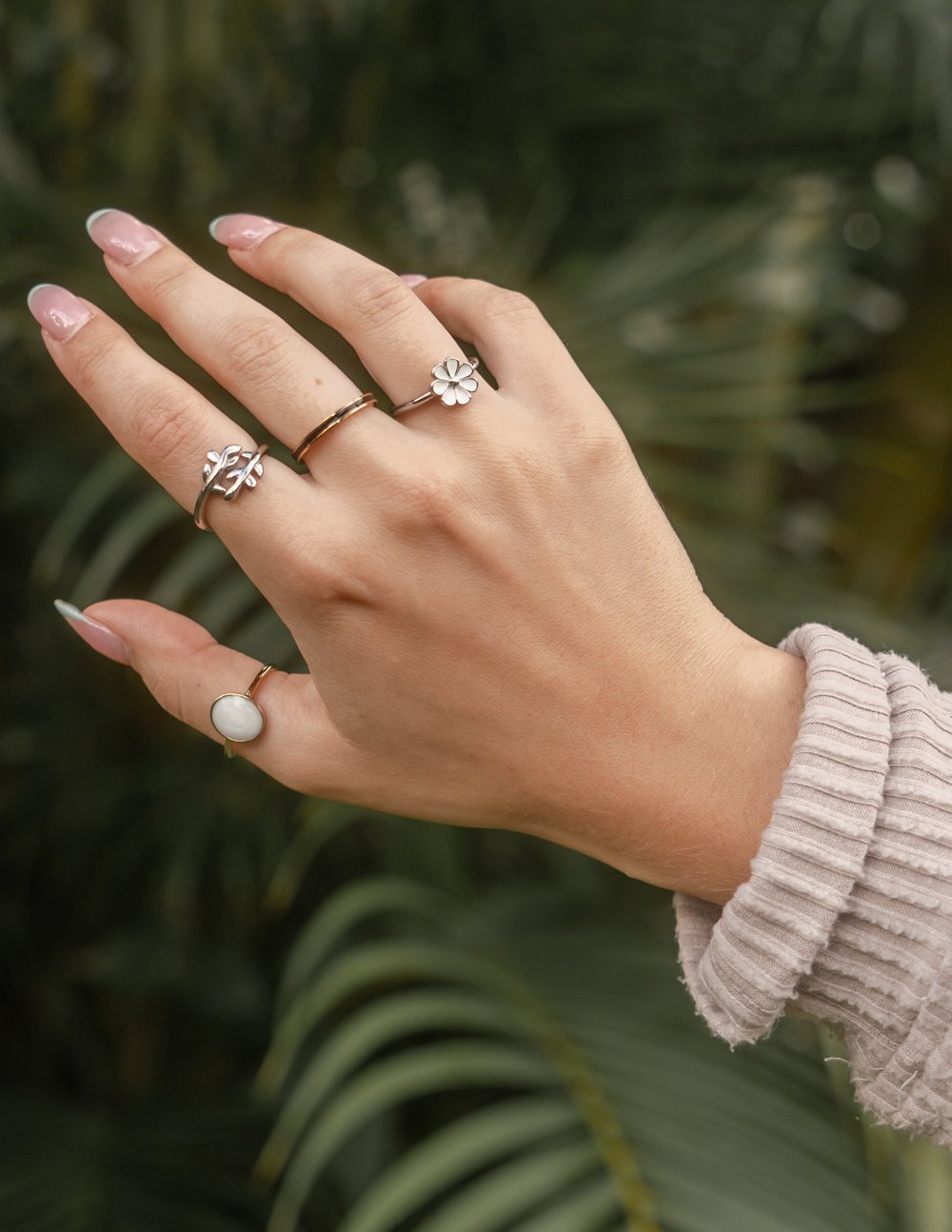 Anillo de rama de olivo