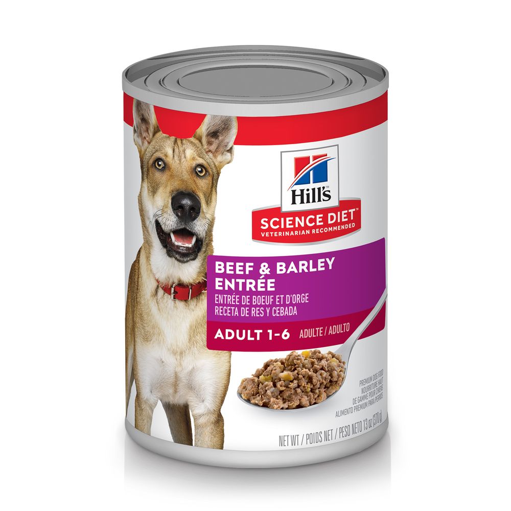 Science Diet Adulto Entrante de Res y Cebada (13oz)