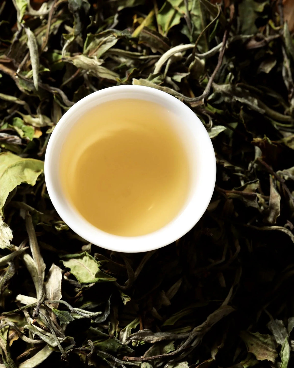 Peonía blanca - Bai Mu Dan