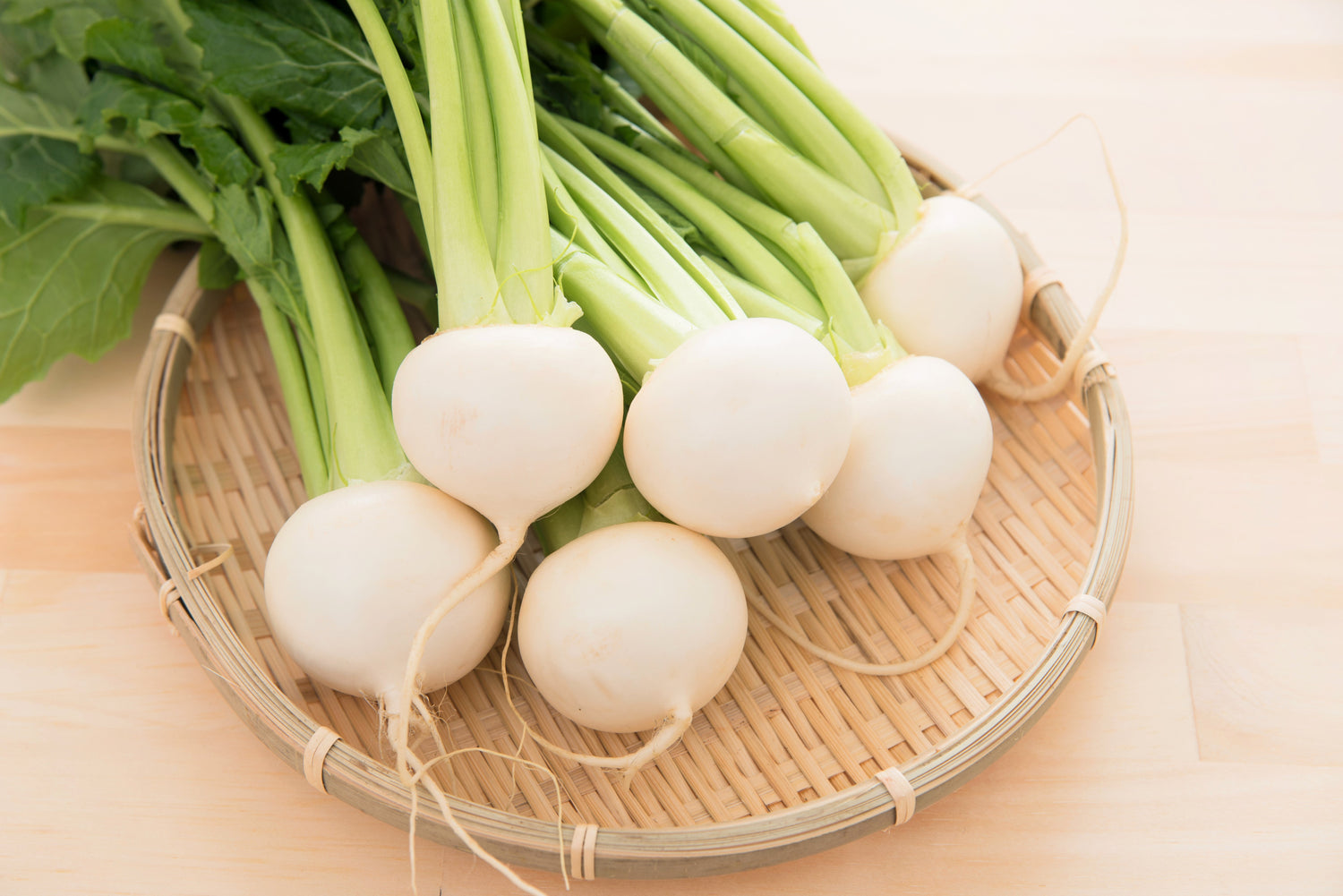 300 semillas de nabo blanco (Brassica rapa)