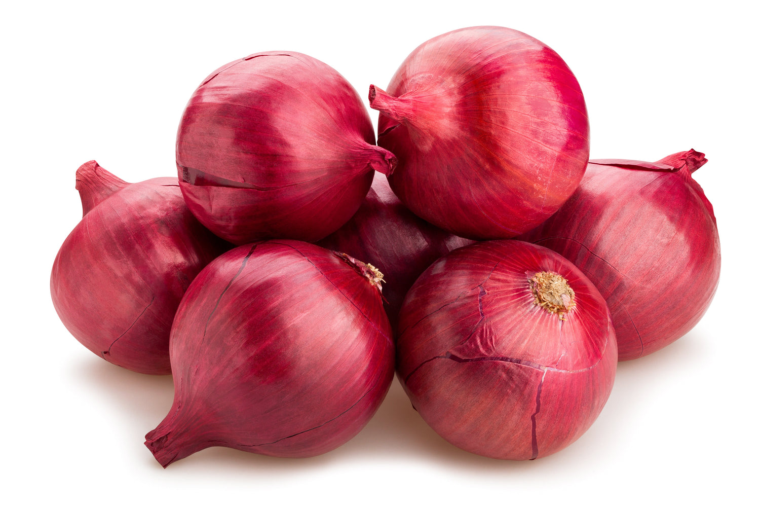 250 Cebolla roja borgoña Semillas de hortalizas Allium Cepa