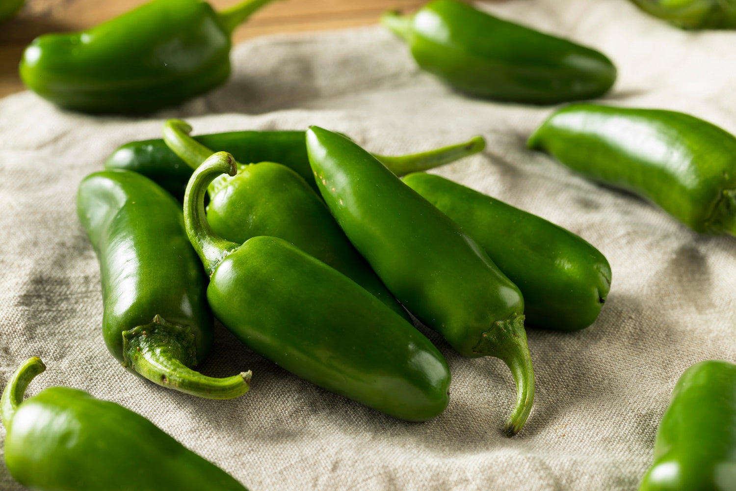 400 semillas de chile jalapeño picante Capsicum annuum, chile mexicano