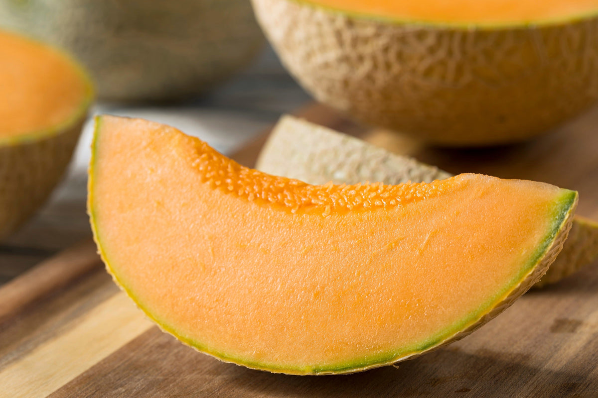 100 semillas de melón cantalupo enano de Minnesota (Cucumis melo reticulatus)