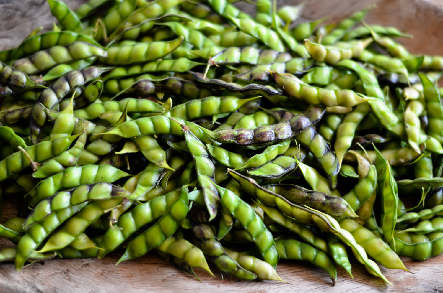 30 PALOMA PEA Dhal Gungo Puerto Rico Frijol Cajanus Cajan Semillas Vegetales