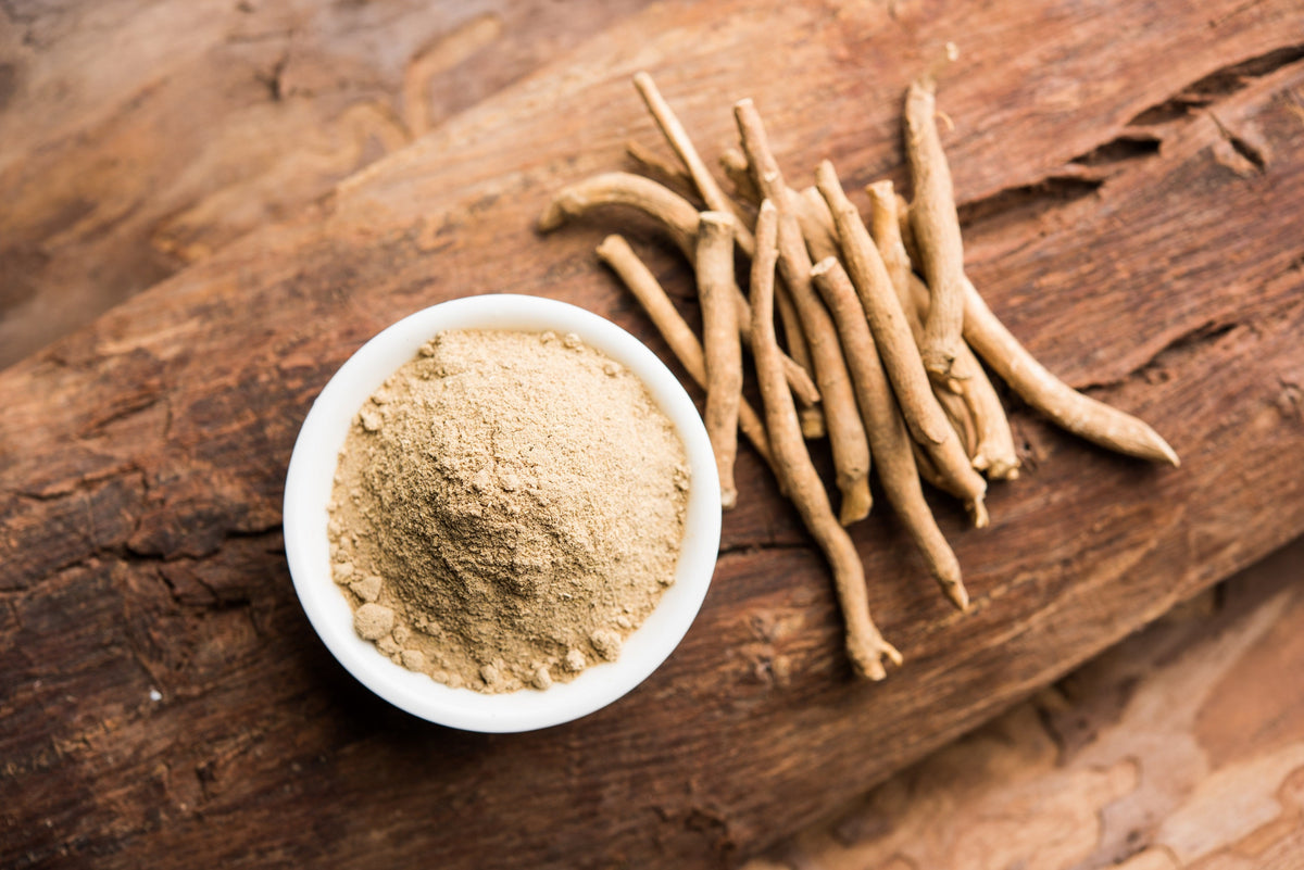 50 semillas de flores de ginseng indio Withania somnifera ashwaganda