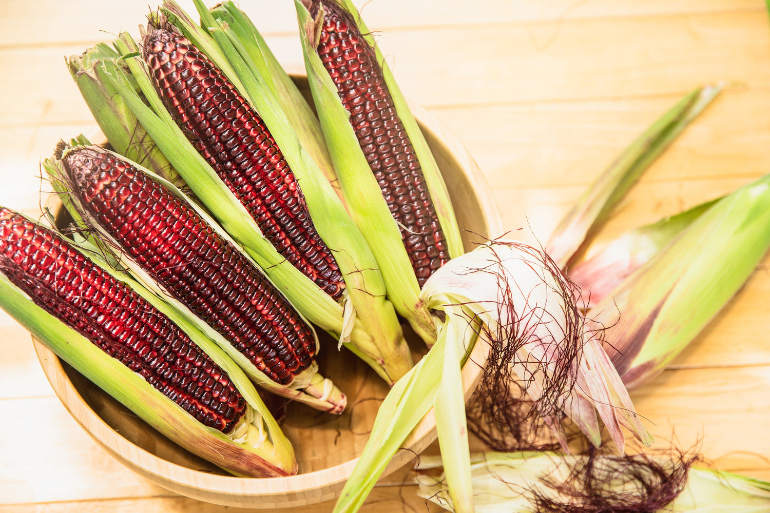 35 semillas de maíz rojo BLOODY BUTCHER, semillas de hortalizas comestibles y ornamentales de Zea Mays