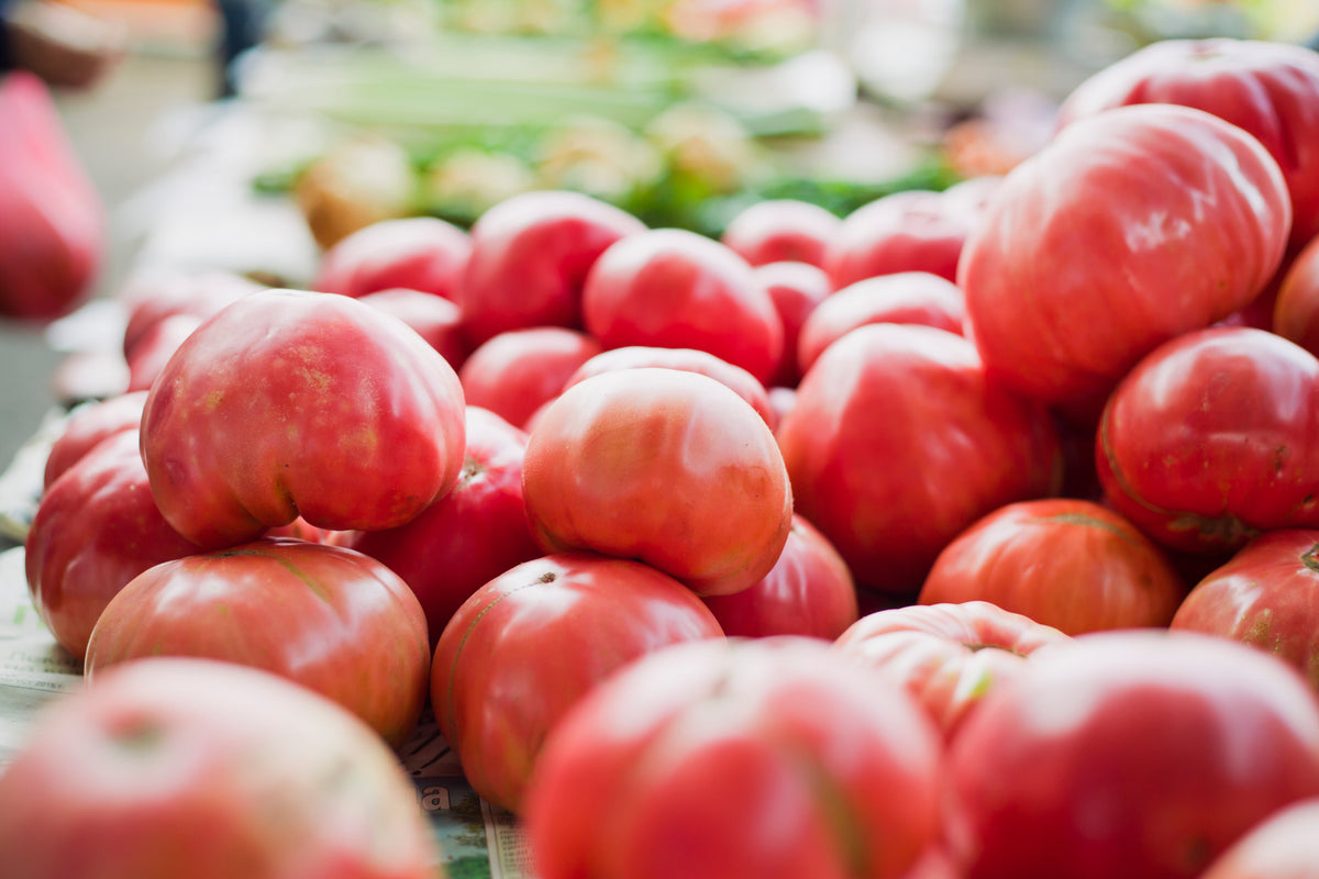50 semillas gigantes de tomate rosa belga de piel rosada, Lycopersicon, fruta y verdura.