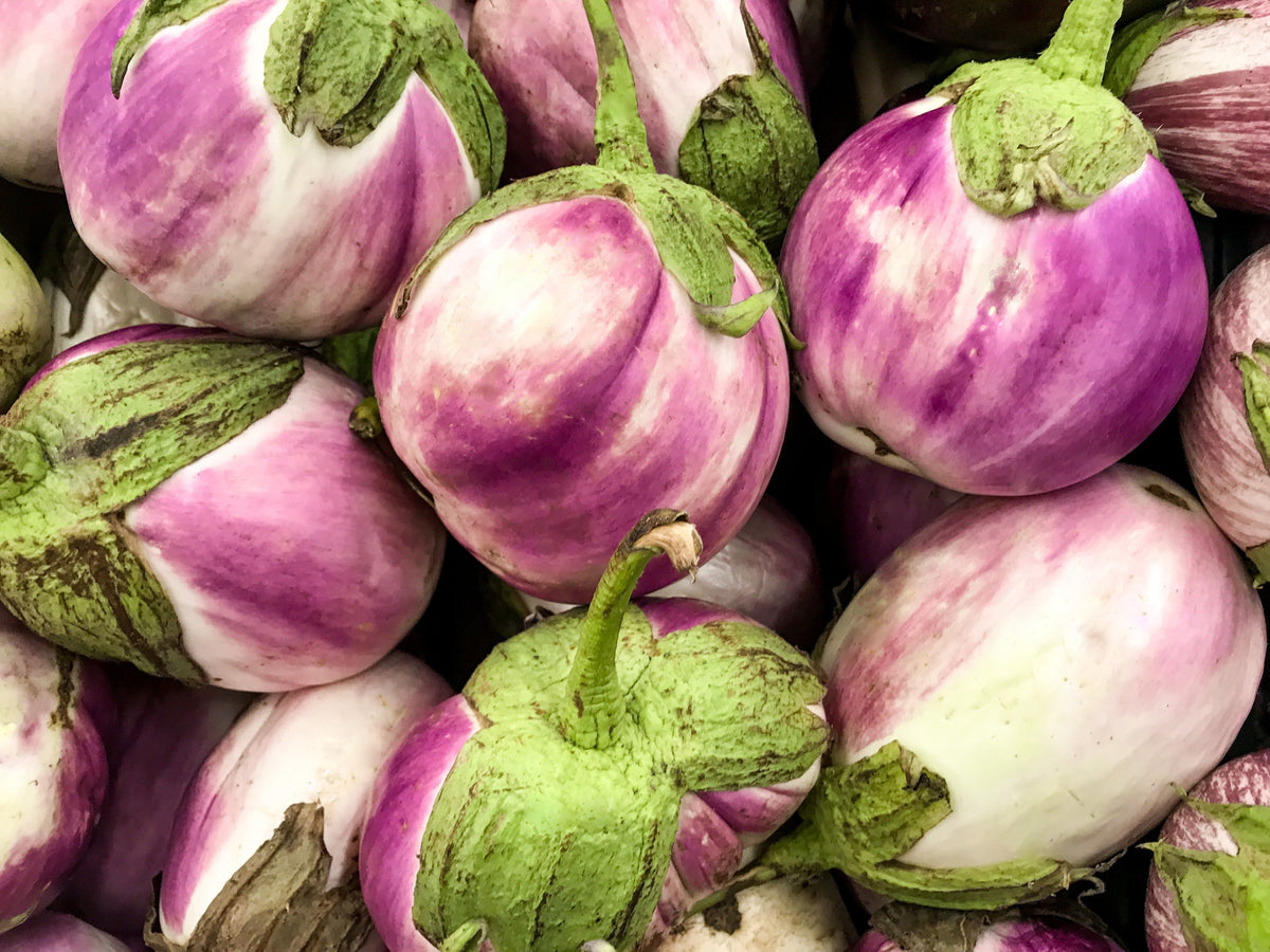 50 semillas orgánicas italianas de berenjena rosa blanca Solanum melongena esculentum
