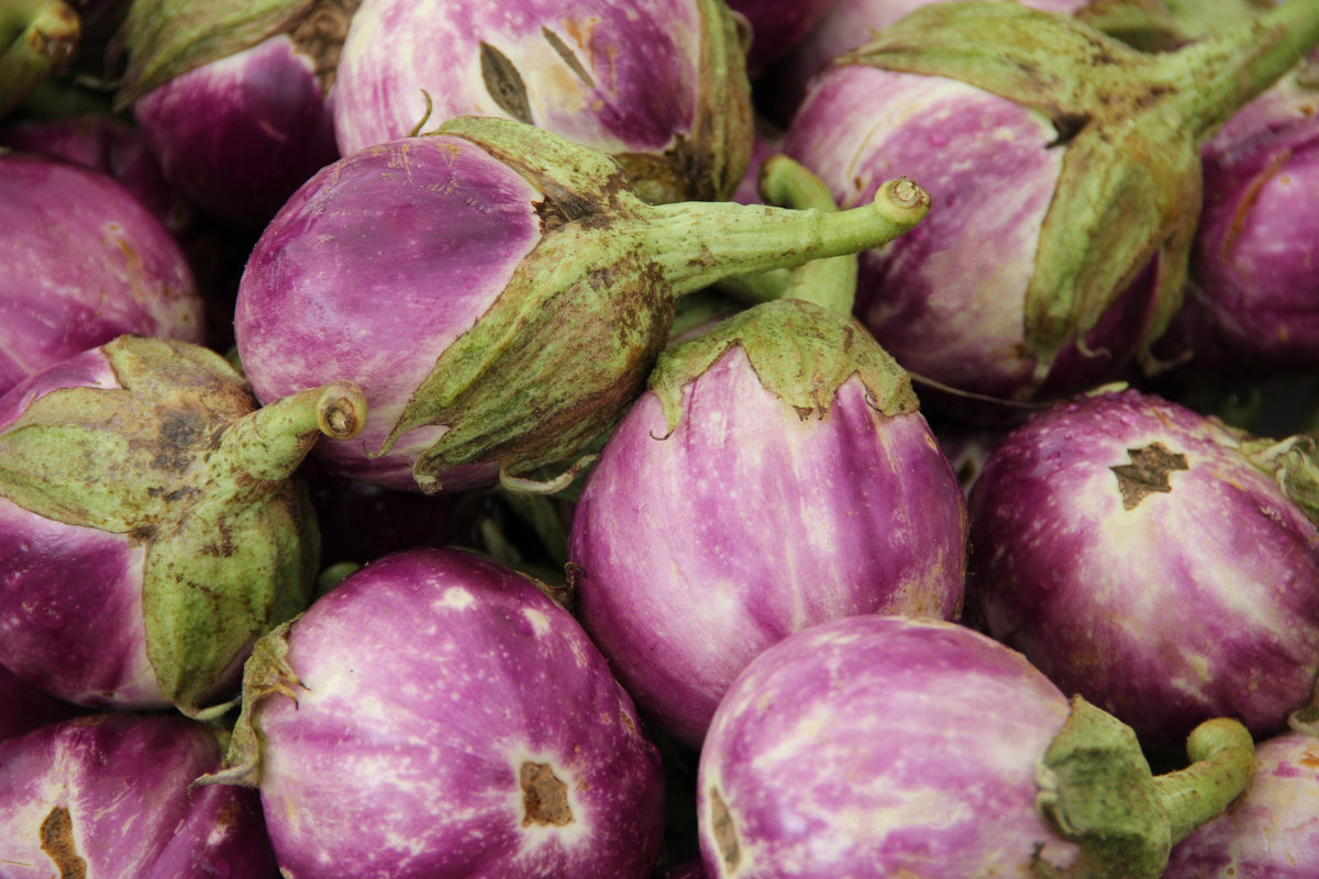 50 semillas orgánicas italianas de berenjena rosa blanca Solanum melongena esculentum