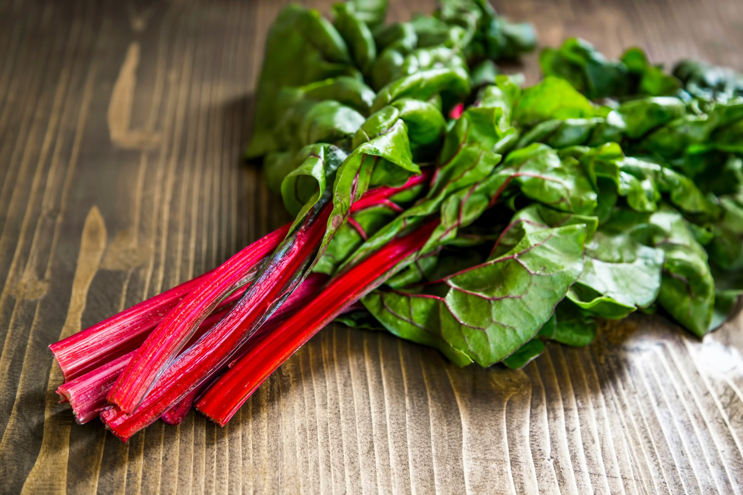 300 semillas de acelga roja, ruibarbo, espinaca perpetua, beta vulgaris