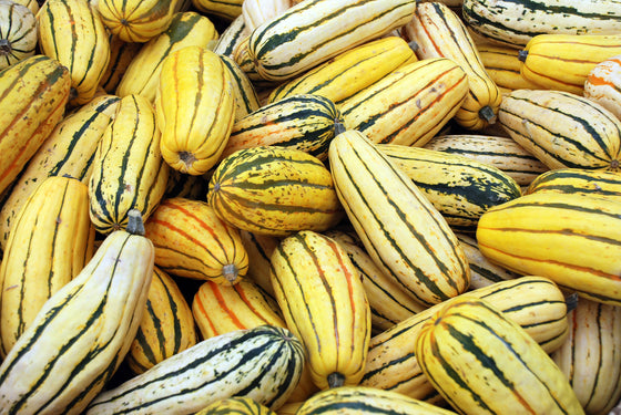 50 Calabazas Deliciosas Semillas de Vegetales de Boniato Rayado Cucurbita Pepo