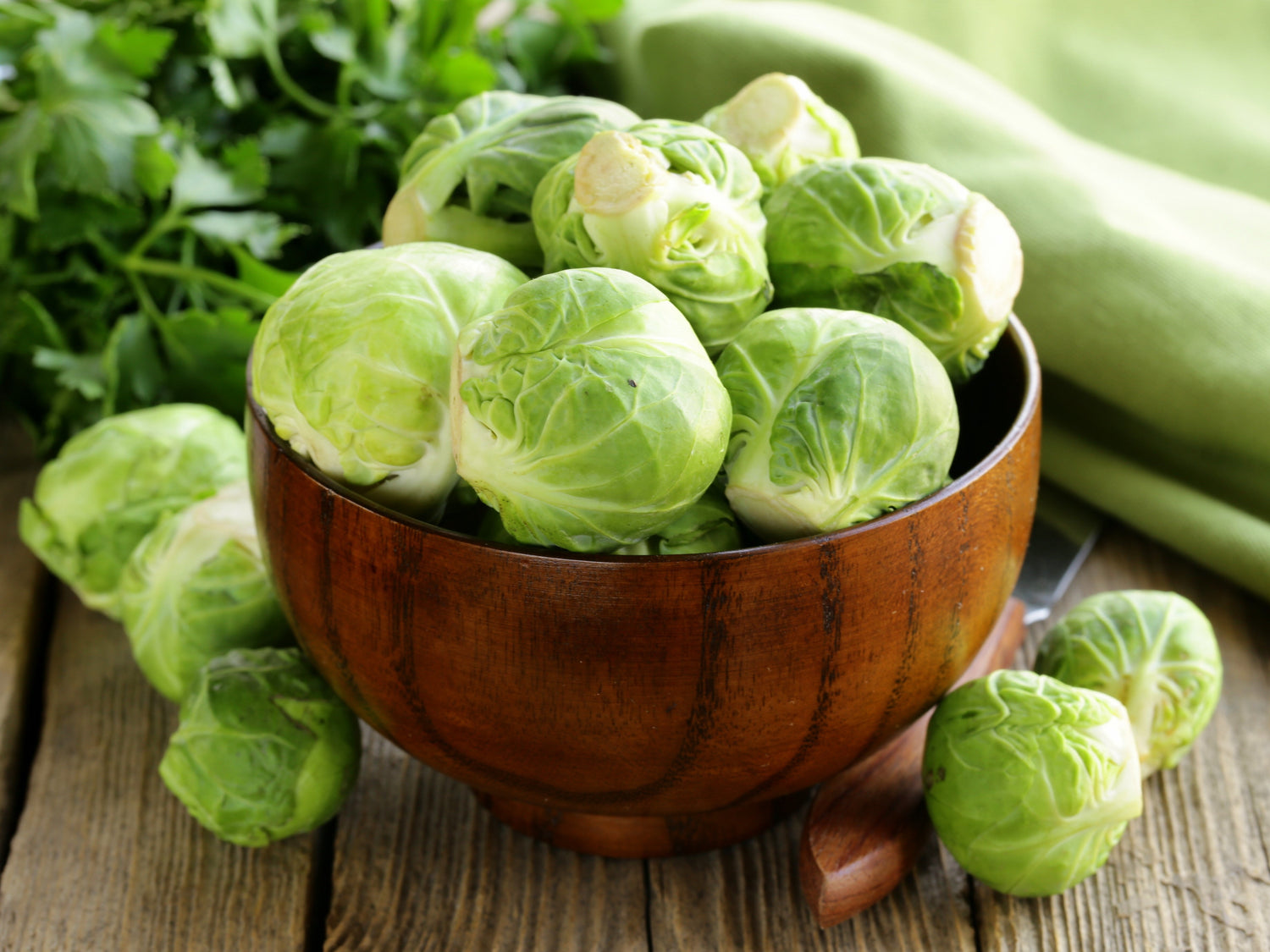 400 COLES DE BRUSELAS CATSKILL Coles Brassica oleracea Semillas de hortalizas