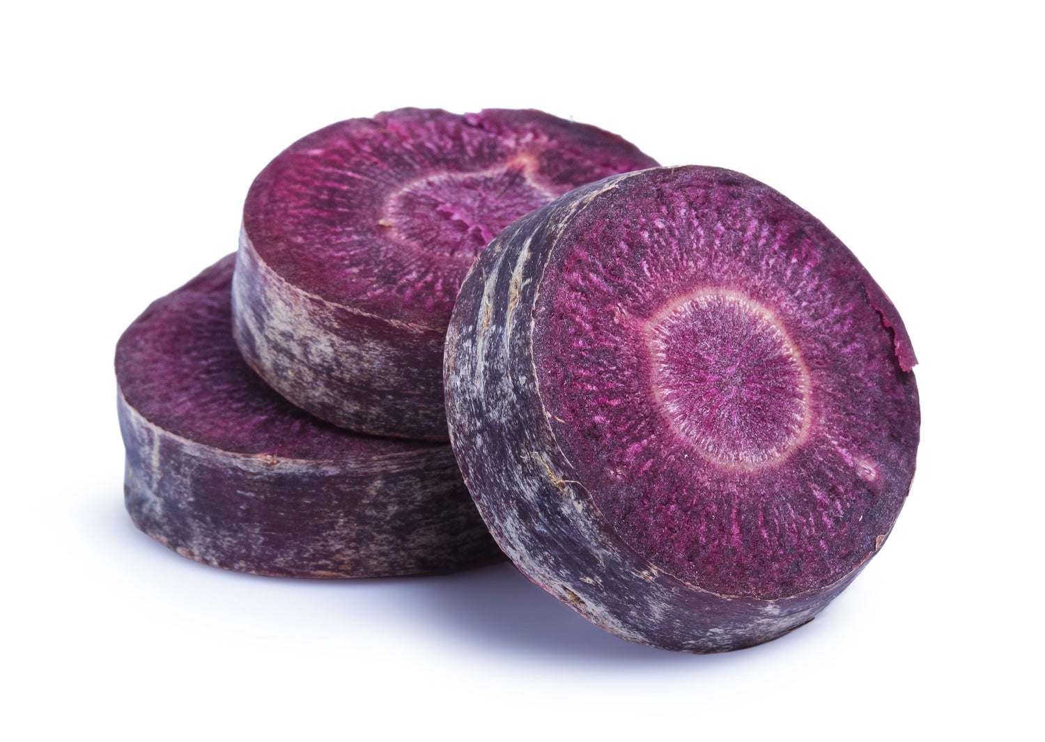 300 semillas de zanahoria nebulosa negra Daucus carota